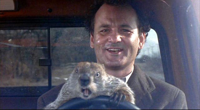 Phil Connors y Punxstawnwey Phil (la marmota) al volante en una de las escenas mas desopilantes de toda la película.